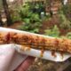 Maple-Bacon-Churro-03-1200x900-1